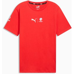 Puma - Mens Conmebol Ca Paraguay Tee