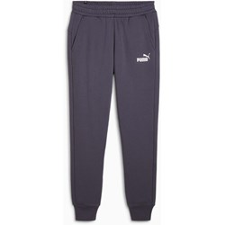 Puma - Mens Ess Logo Pants Fl Cl (S)