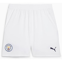 Puma - Mens Mcfc Shorts Replica