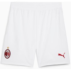 Puma - Mens Acm Shorts Replica