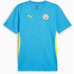 Puma - Mens Mcfc Training Jersey