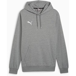 Puma - Mens Teamgoal Casuals Hoody