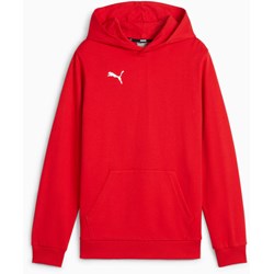 Puma - Juniors Teamgoal Casuals Hoody