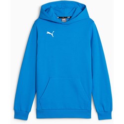 Puma - Juniors Teamgoal Casuals Hoody