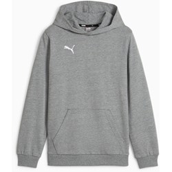 Puma - Juniors Teamgoal Casuals Hoody