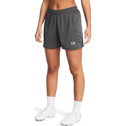 Under Armour - Womens Ch. Knit Short