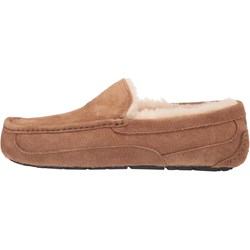 Ugg - Mens Ascot Slippers