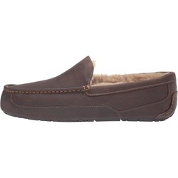 Ugg - Mens Ascot Slippers