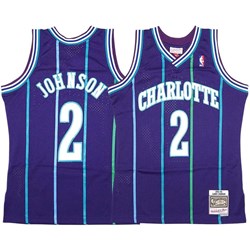 Mitchell And Ness - Charlotte Hornets Mens Nba Swingman Alternate 94 Larry Johnson Jersey