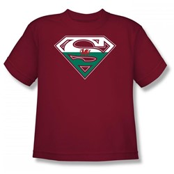 Superman - Welsh Shield Big Boys T-Shirt In Cardinal