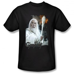 Lord Of The Rings - Gandalf Adult Heather T-Shirt In Black