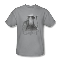 Lord Of The Rings - Gandalf The Grey Adult Short Sleeve T-Shirt In Silver