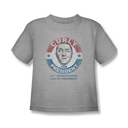 Three Stooges - Little Boys Curly For President T-Shirt In Heather