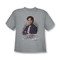Numbers - Big Boys Everything Is Numbers T-Shirt In Silver