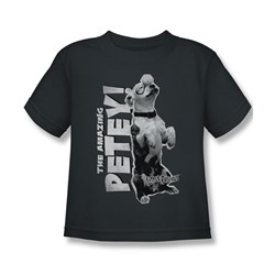 Little Rascals - Little Boys Amazing Petey T-Shirt In Charcoal