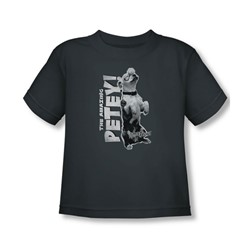 Little Rascals - Toddler Amazing Petey T-Shirt In Charcoal