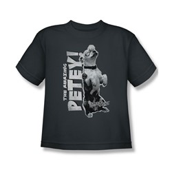 Little Rascals - Big Boys Amazing Petey T-Shirt In Charcoal