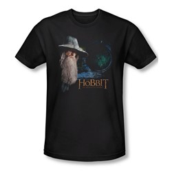 The Hobbit - Mens The Door T-Shirt In Black