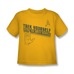 Star Trek - Little Boys Trek Yourself T-Shirt In Gold