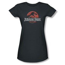 Jurassic Park - Womens Faded Logo T-Shirt In Charcoal