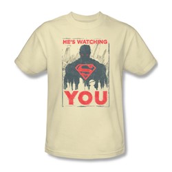 Superman - Mens He'S Watching You T-Shirt In Cream