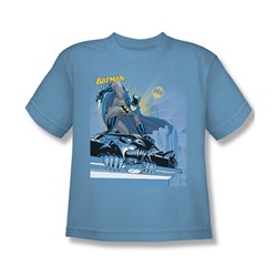 Batman - Two Gotham Gargoyles - Big Boys Carolina Blue S/S T-Shirt For Boys