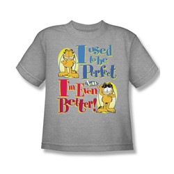 Garfield - Even Better - Big Boys Ath. Heather S/S T-Shirt For Boys