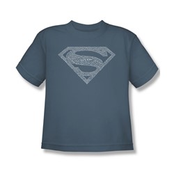 Superman - Type Shield - Big Boys Slate S/S T-Shirt For Boys