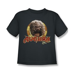 The Dark Crystal - Aughra Circle Little Boys T-Shirt In Charcoal