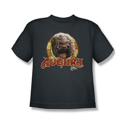 The Dark Crystal - Aughra Circle Big Boys T-Shirt In Charcoal