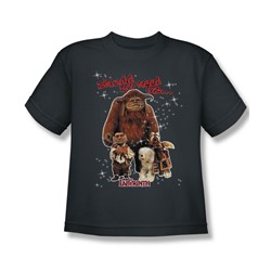 The Labyrinth - Should You Need Us… Big Boys T-Shirt In Charcoal