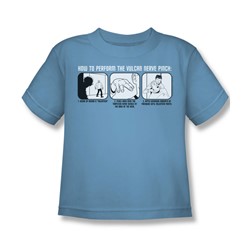 Star Trek - St / Vulcan Nerve Pinch Little Boys T-Shirt In Carolina Blue