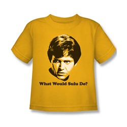 Star Trek - What Would Sulu Do? Little Boys T-Shirt In Gold