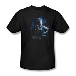 Batman - Don't Mess With The Bat Adult T-Shirt In Black