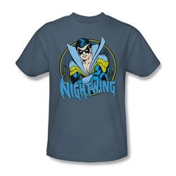Dc Comics - Nightwing Adult T-Shirt In Slate