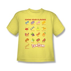 Dum Dums - Big Boys Flavors T-Shirt