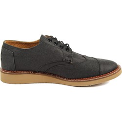 Toms brogue ash hotsell aviator twill