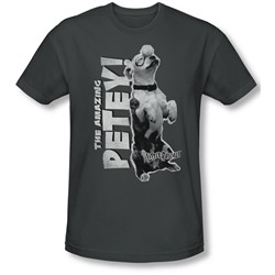 Little Rascals - Mens Amazing Petey T-Shirt In Charcoal