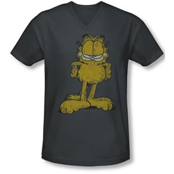 Garfield - Mens Big Ol' Cat V-Neck T-Shirt