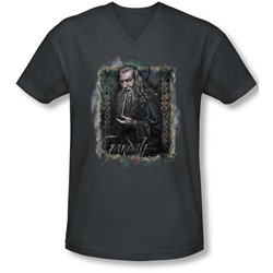 The Hobbit - Mens Gandalf V-Neck T-Shirt