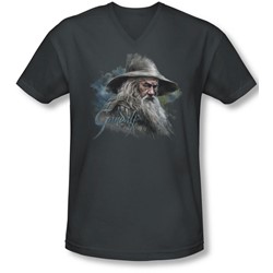 The Hobbit - Mens Gandalf The Grey V-Neck T-Shirt