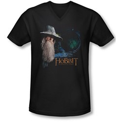 The Hobbit - Mens The Door V-Neck T-Shirt