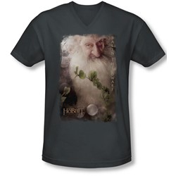 The Hobbit - Mens Balin V-Neck T-Shirt