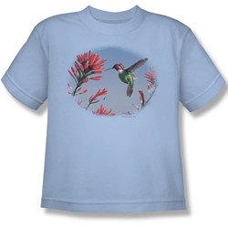 Wildlife - Big Boys Annas Hummingbird  T-Shirt