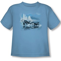 Wildlife - Toddler Glaciers Edge Orcas T-Shirt