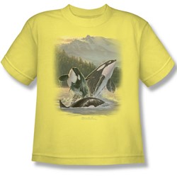 Wildlife - Big Boys Breaching Orcas T-Shirt