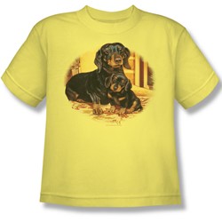 Wildlife - Big Boys Picture Perfect Dachshunds T-Shirt