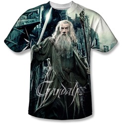 Hobbit - Mens Wizard T-Shirt