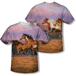 Wild Wings - Mens Sunset Cruise (Front/Back Print) T-Shirt