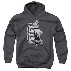 Little Rascals - Youth Amazing Petey Pullover Hoodie